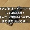 オメガをオーバーホールして4年経過！購入から20年経ったけどまだまだ現役です！