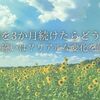 【美容鍼を3か月続けたらどうなる？】1回との違いは？リアルな変化を徹底解説🪡✨