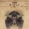 MHW:I ラージャン登場！ 【しっぽ図鑑番外編？】