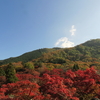 秋のカラフル～京都・八瀬の紅葉～