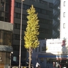 机を前にして物を無くす。