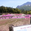 秩父羊山公園の芝桜 ハートマークと秩父の山々が見応えありますよ