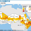 アフリカの食糧不安