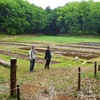 自然の風景そのまま「博物館」　狭山丘陵北西部を歩く