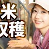 お米収穫しました🌾｜高田秋の農業プロジェクト