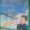 特別企画展　南の国から　琉球諸島のいきものたち -2016 新任のジュンです♡