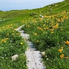 鳥海山ー残雪と花の季節ー