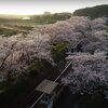 25秒シャドーイング：松浦鉄道、浦ノ崎駅「cherry blossom tunnel」