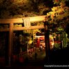 2015 日光二社一寺　ライトアップ