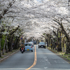 日本の風景 ～其の弐：伊豆・三島へ家族旅行（前編）～