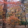 花貫渓谷　紅葉　名馬里ヶ淵