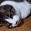 無題（笑）