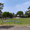 相模大野中央公園（相模原市南区相模大野）