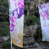 糸島花手水 ﾊﾅﾃﾐｽﾞ？？