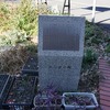 2025/01/13 飛田給・是政 02 おっぽり坂/車返八幡神社/本願寺/武蔵野台商栄会/塞の神 発祥地/道祖神/どやの坂