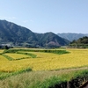 高千穂町　天岩戸神社へ