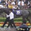 【競馬】アエロリットのフォトパドックと動画を見て【2017秋華賞】