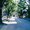 東京大学お散歩写真