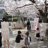 満開の桜の中で入園式が行われました。