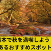 熊本で秋を満喫しよう！風情あるおすすめスポット10選