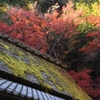 紅葉の京都その4　長い帰り道で