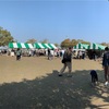 横浜GreenSnap marchéに行ってきた🙌🏻/アガベ実生記録