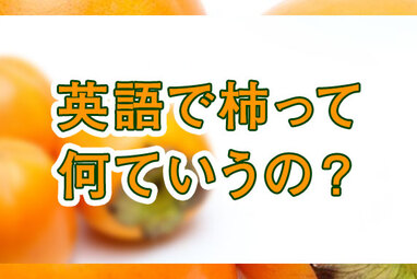 かわいい の英語表現 例文でニュアンスの違い 使い方を解説 ネイティブキャンプ英会話ブログ かわいい の英語表現 例文でニュアンスの違い 使い方を解説 ネイティブキャンプ英会話ブログ