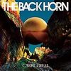 カルペ・ディエム／THE BACK HORN