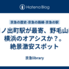 日ノ出町駅が最寄、野毛山は横浜のオアシスか？。絶景激安スポット