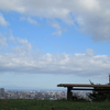 こんな裏山が恋しかったin旭丘記念公園 札幌をお散歩してみた その③