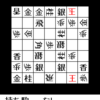 詰将棋迷路