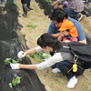 6月2日(日)「親子でサツマイモを植えよう！」