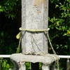 地神塔（東かがわ市東山・若宮八幡神社）