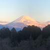 今朝の景色