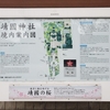 靖国神社の桜の標本木　２０２４年３月２８日　１７時頃の状況