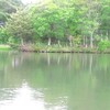 5月、淡水魚採取・観察の記録（1）