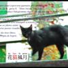 還暦ギャラリー『森』〜　花『猫』風月