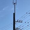 NTTドコモ基地局 CV座間栗原一丁目RK