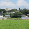 北村・城ノ下（国富町宮王丸）