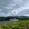 雨の中、お墓参り