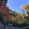 善峯寺〜ポンポン山ハイキング