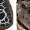セプタリアン／Septarian　天然石　パワーストーン