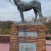 根岸森林公園