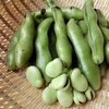 そら豆