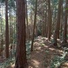 林にて
