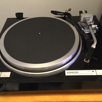 散財 古の銘器 Kenwood Kp 1100を導入 アナログプレーヤー初心者がレコード再生に挑む セッティング 再生編 うさぎ部屋でもイイ音で聴きたいんじゃ