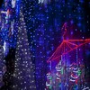 ２０２５蔵織の展示、終了