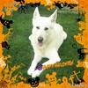 Happy　Halloween