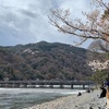 桜を見るために京都に行ってきた　Ep.3 嵐山エリア編
