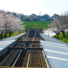 レールの行き先は？《#50》 ― 駅舎を彩る満開の桜 ―